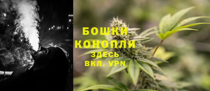 мега tor  Наволоки  Каннабис OG Kush 